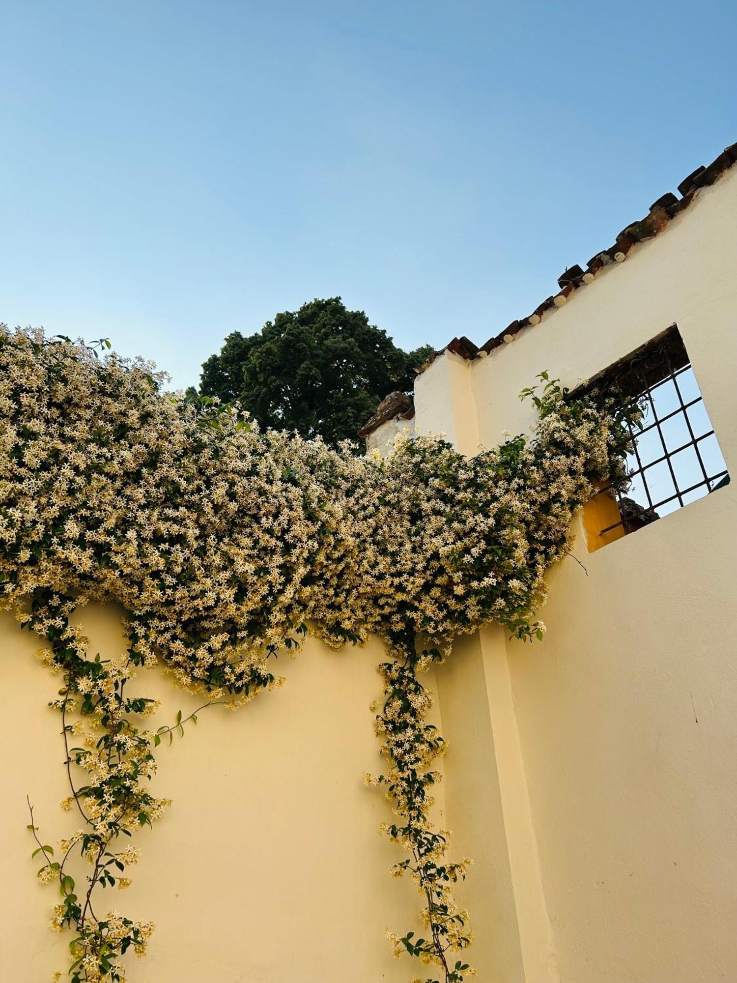 Pizzighettone Residenza La Corte Buitenkant foto