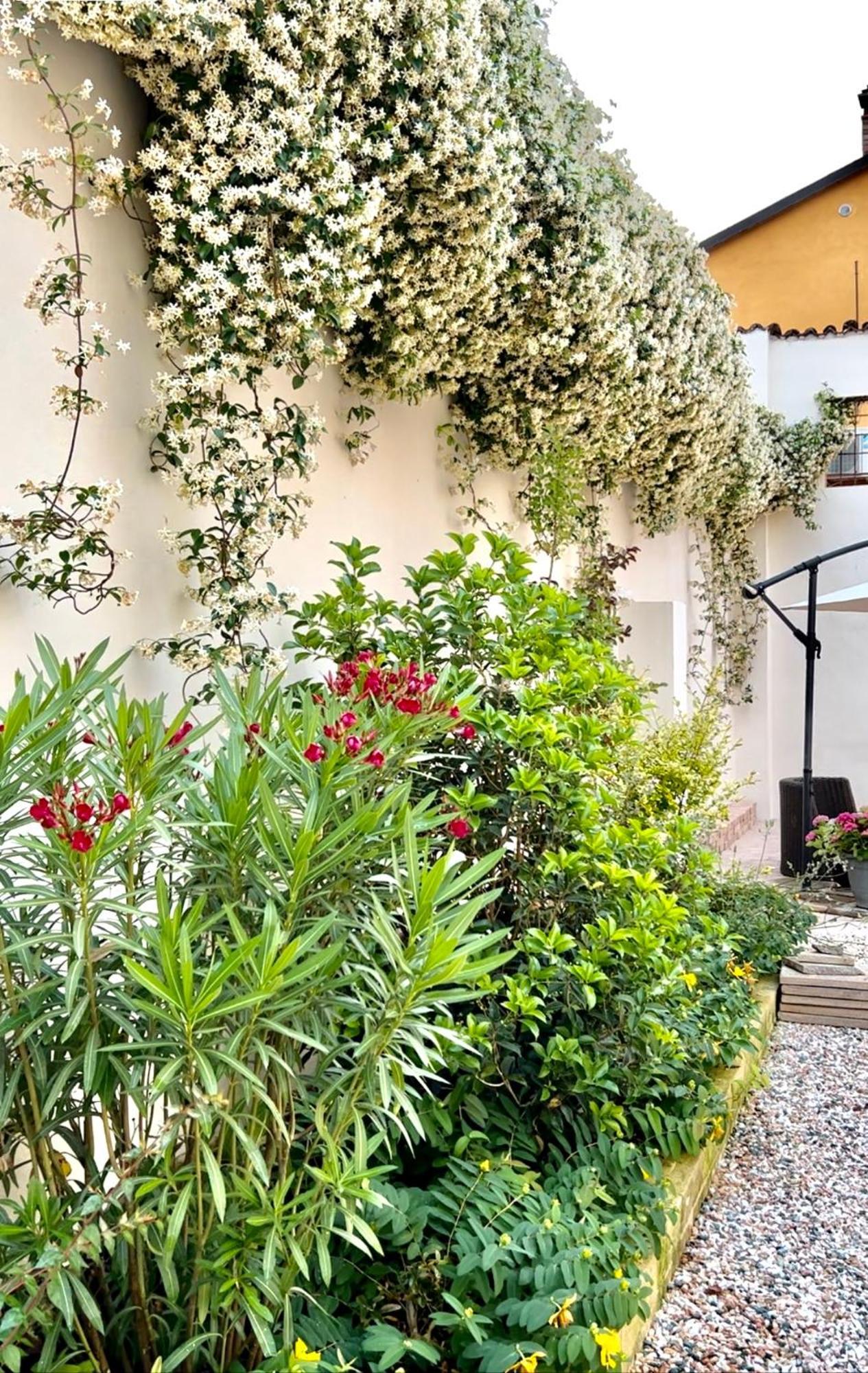 Pizzighettone Residenza La Corte Buitenkant foto