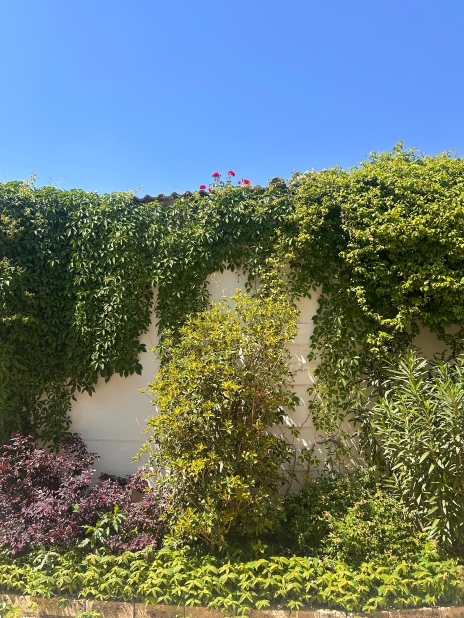 Pizzighettone Residenza La Corte Buitenkant foto